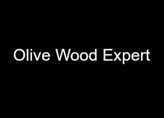 woodexpert logo