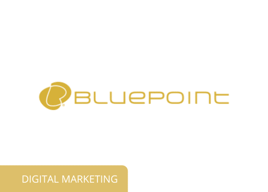 bluepoint marketing