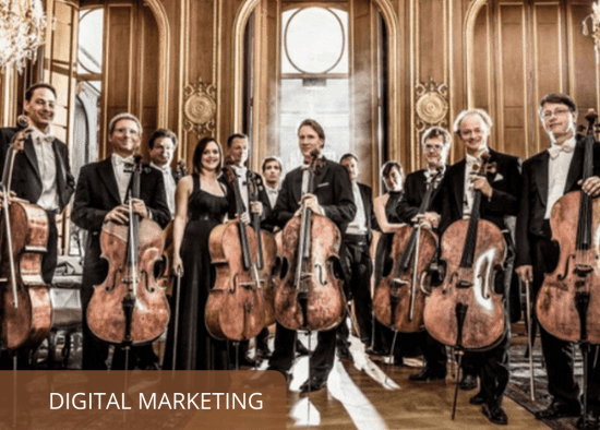 12 cellists