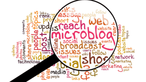 Τύποι πλατφορμών ιστοσελίδων  Microblog
