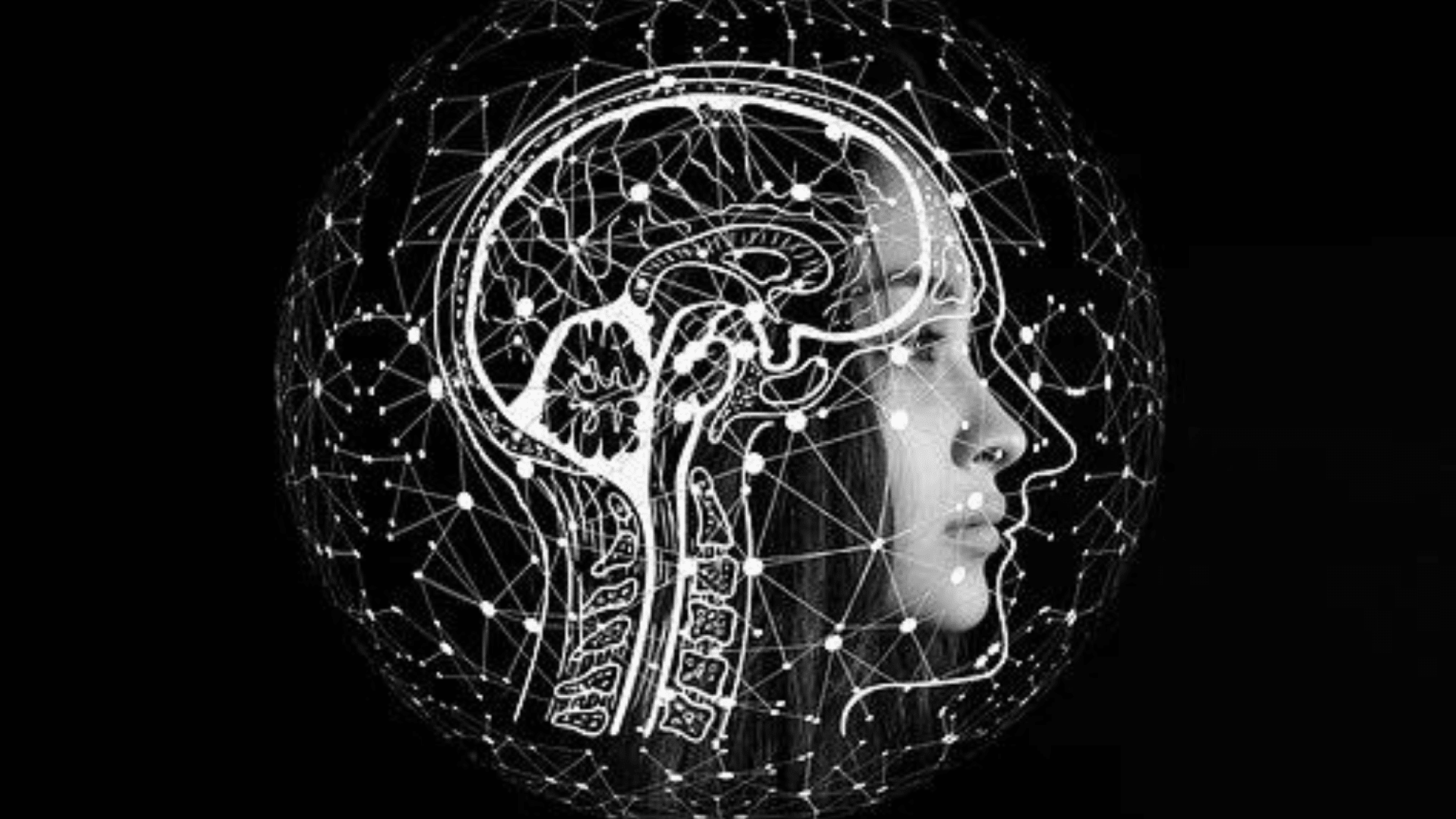 Facts vs. Fiction: Τεχνητή  Νοημοσύνη στο Digital Marketing ιστοσελίδων και eshop