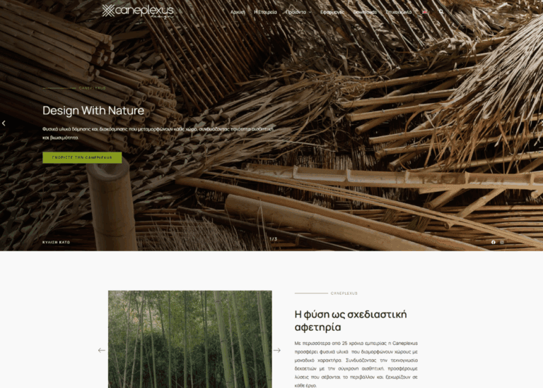 caneplexdesign.com
