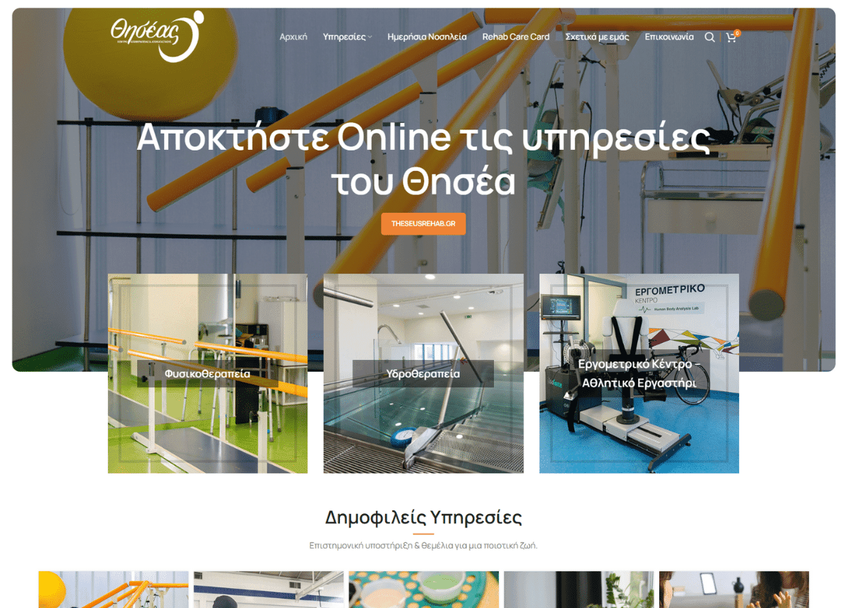 theseusrehabshop.gr