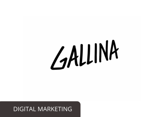 gallina.gr digitalmarketing 1